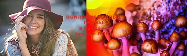 прущая мука Алзамай